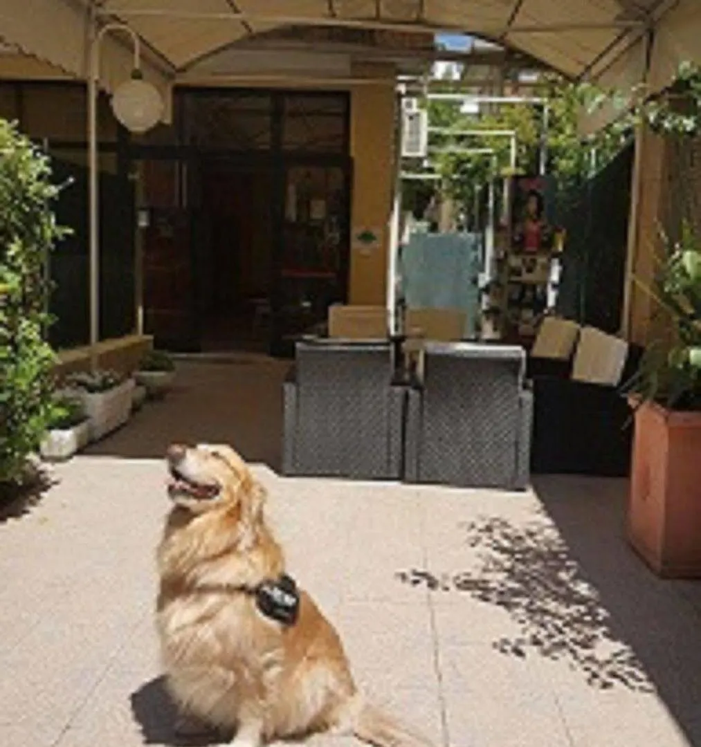 Hotel New Happy Rimini Italy